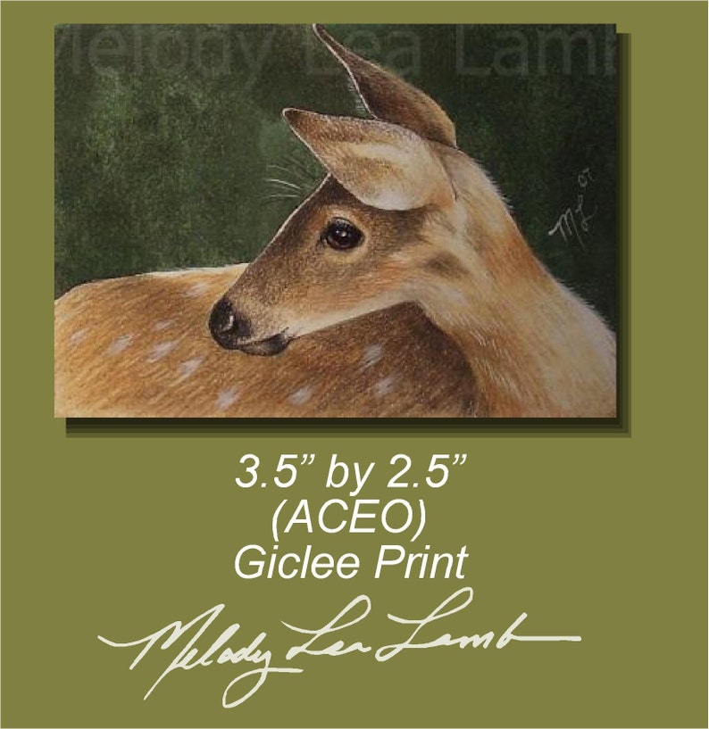 ACEO OE Print Wildlife Art Melody Lea Lamb Deer image 1