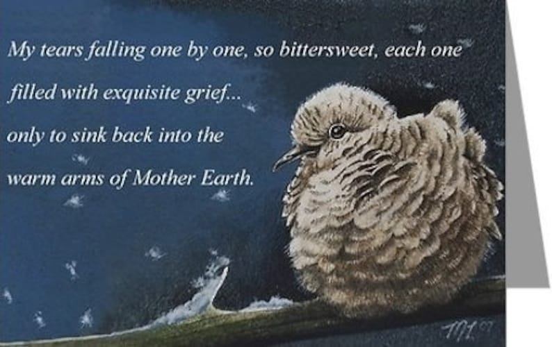 Sympathy Card from Original Dove Bird Art by Melody Lea Lamb | Etsy