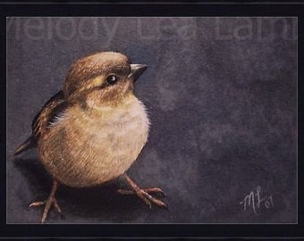 Sparrow Bird Art by Melody Lea Lamb ACEO Print