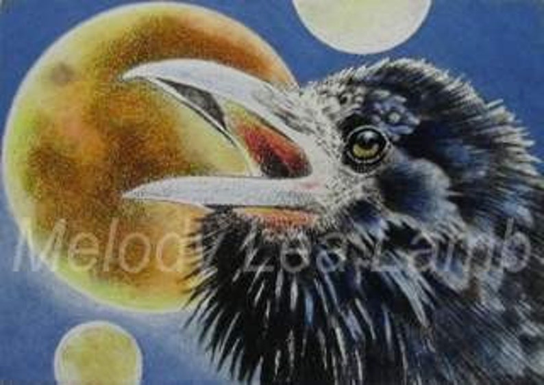 Crow Full Moon Bird Art Melody Lea Lamb ACEO Print