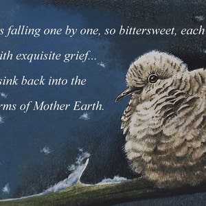 Sympathy Card from Original Dove Bird Art di Melody Lea Lamb