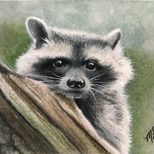 Raccoon Print From Original Miniature Art par Melody Lea Lamb ACEO