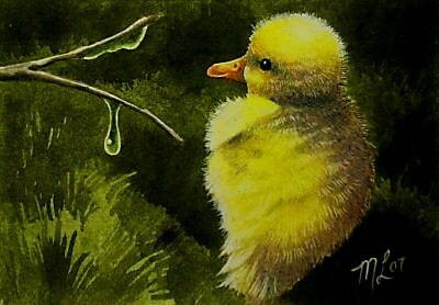 Baby Duck Bird Art Melody Lea Lamb ACEO Giclee Print - Etsy