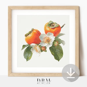 May include: Framed print featuring a botanical illustration of two bright orange persimmons with green leaves and white flowers. The artwork is set against a white background and framed in a light wood frame. The print has a vintage aesthetic.