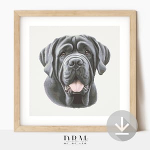 May include: A framed print featuring a close-up of a Neapolitan Mastiff dog. The dog has a dark gray coat, with a pink tongue. The artwork is in a wooden frame, and the background is white. The print is a portrait of the dog.