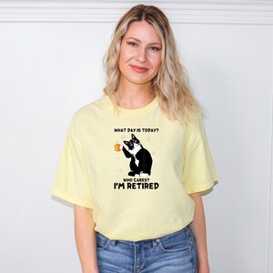 Camiseta de gato jubilado, camiseta de sarcasmo, sudadera motivacional, camiseta de positividad, camiseta mental, regalo divertido para amantes de los gatos, camiseta de la carta del tarot, gato