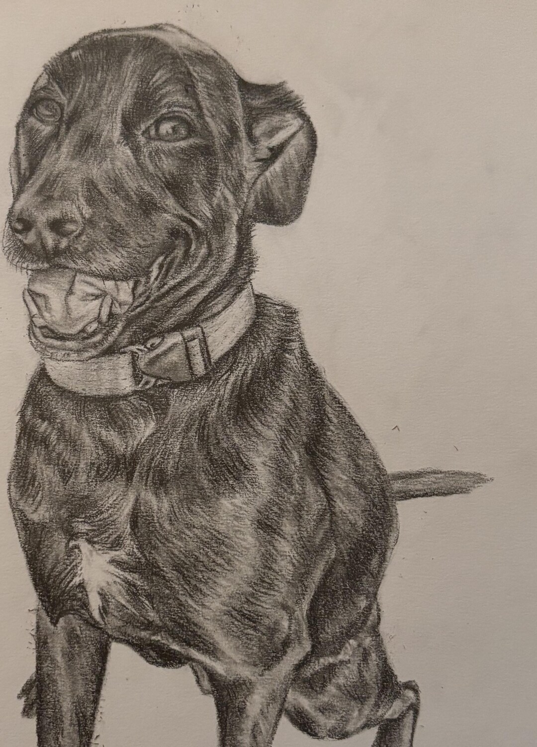 Customised Drawings Custom Drawing - Etsy