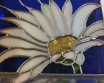 White Daisy on Cobalt Blue