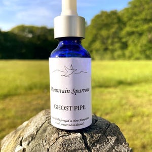 Tintura Ghostpipe 30 ml