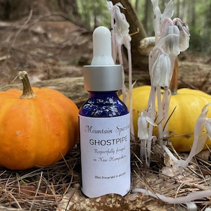 Ghostpipe Tincture 30ml