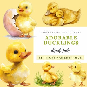 Watercolor Ducklings Clipart: Mother and Baby Ducks (Transparent PNGs)