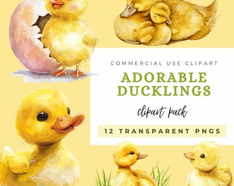 Clipart de patitos de acuarela: Madre y cría de patito (PNG transparentes)