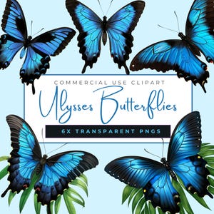Puede incluir: Seis ilustraciones de mariposas Ulysses azules brillantes con detalles negros, sobre un fondo azul claro. El texto dice "Commercial Use Clipart" y "Ulysses Butterflies".