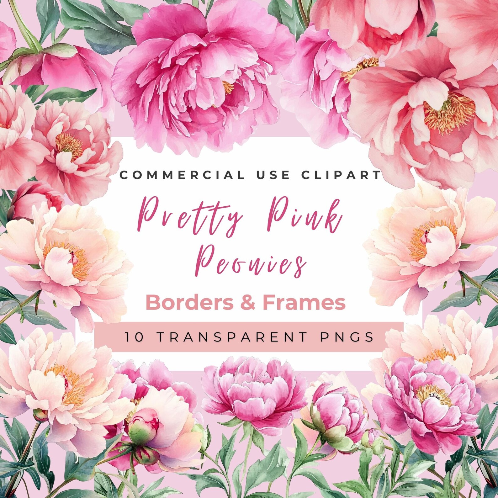 Pink Peonies Watercolor Clipart: Floral Borders & Frames (PNG Digital ...
