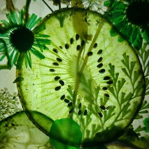 Stained glass: Kiwi dream flower and fruit panel 4x6 image 1