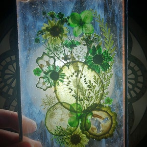 Stained glass: Kiwi dream flower and fruit panel 4x6 image 3