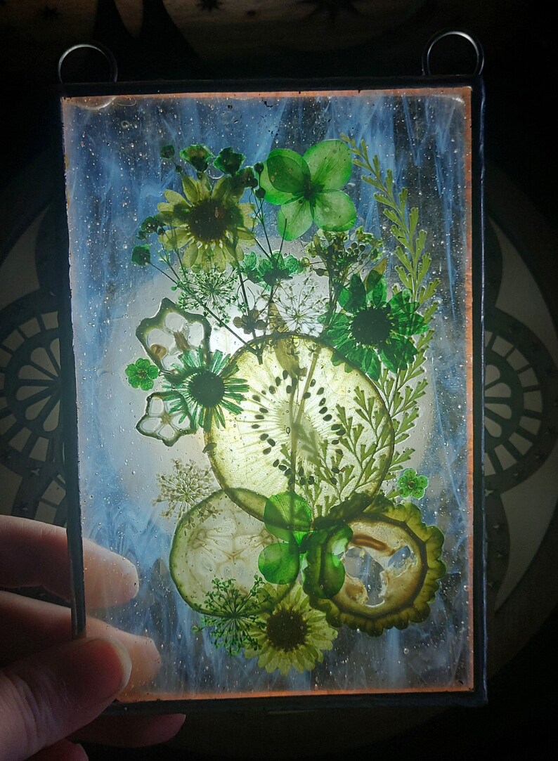 Stained glass: Kiwi dream flower and fruit panel 4x6 image 3
