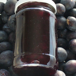 DAMSON JAM