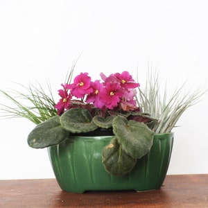 Vintage Retro Oval Planter with Indented Tapered Notches, Ceramic Planter, Catchall, Bowl or Succulent Planter