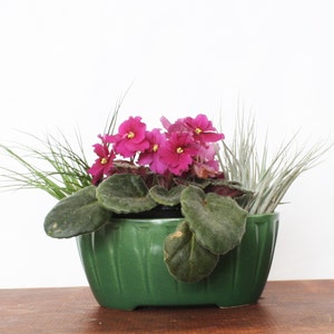 Vintage Retro Oval Planter with Indented Tapered Notches, Ceramic Planter, Catchall, Bowl or Succulent Planter image 1