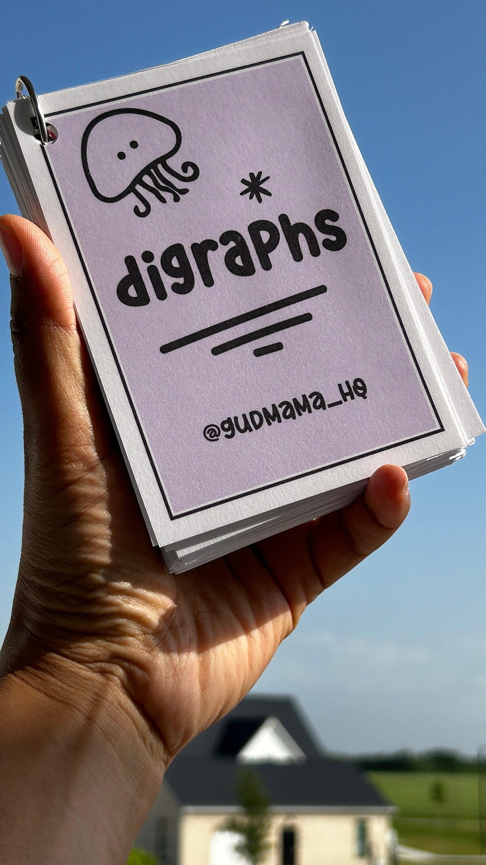 PRINTABLE Digraphs Cards Set, Homeschool Digraph Card Set, Digraph ...