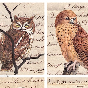 wise old owls on antique handwriting, for arts and crafts, journals, scrapbooking and more, digital collage sheet no. 379