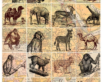 wild animal collage sheet, zebras, orangutans, elephants, etc. with antique map background, 2 x 2 inch digital download no. 136