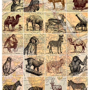 wild animal collage sheet, zebras, orangutans, elephants, etc. with antique map background, 2 x 2 inch digital download no. 136 image 1