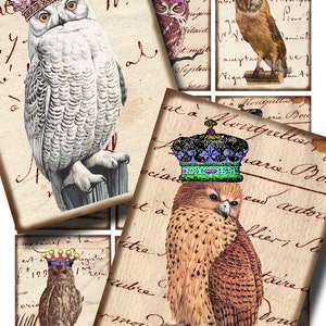 Puede incluir: Un collage de cuatro im&aacute;genes con b&uacute;hos que llevan coronas. Los b&uacute;hos est&aacute;n posados en ramas y tienen una est&eacute;tica vintage. El fondo es una carta manuscrita descolorida.