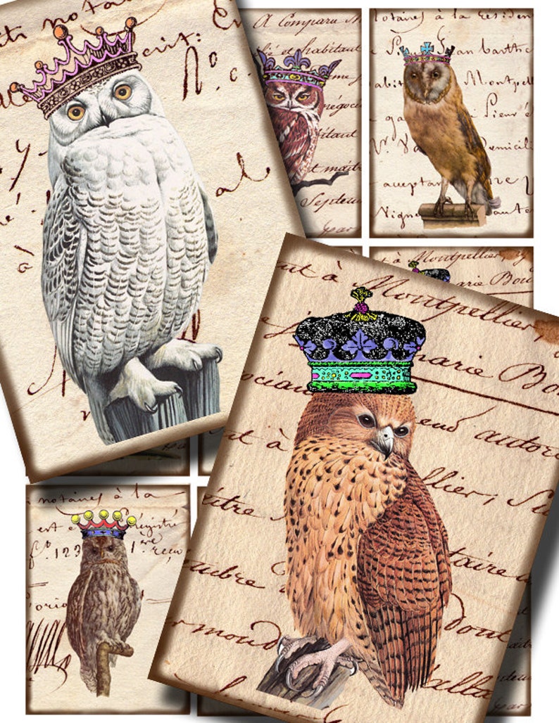 Puede incluir: Un collage de cuatro im&aacute;genes con b&uacute;hos que llevan coronas. Los b&uacute;hos est&aacute;n posados en ramas y tienen una est&eacute;tica vintage. El fondo es una carta manuscrita descolorida.