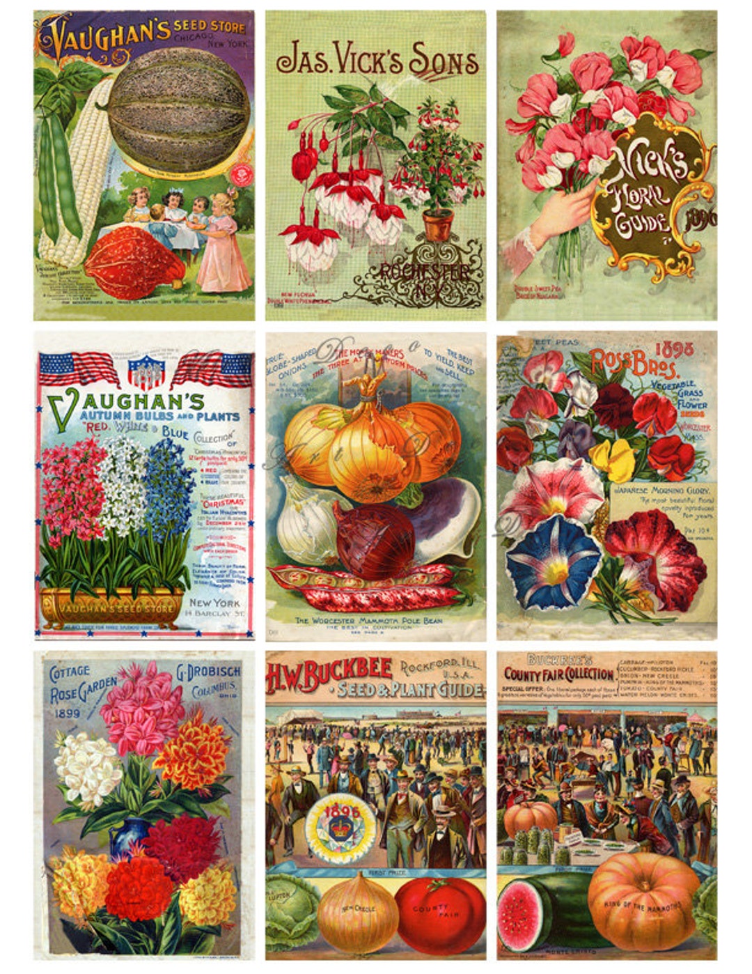 Vintage Seed Packets, Digital Download, Printable Images No. 1586 - Etsy