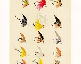 Fly Fishing Print From the 19th Century, Printable Wall Art