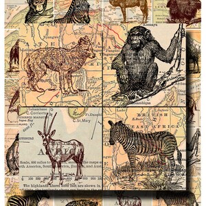 wild animal collage sheet, zebras, orangutans, elephants, etc. with antique map background, 2 x 2 inch digital download no. 136 image 5