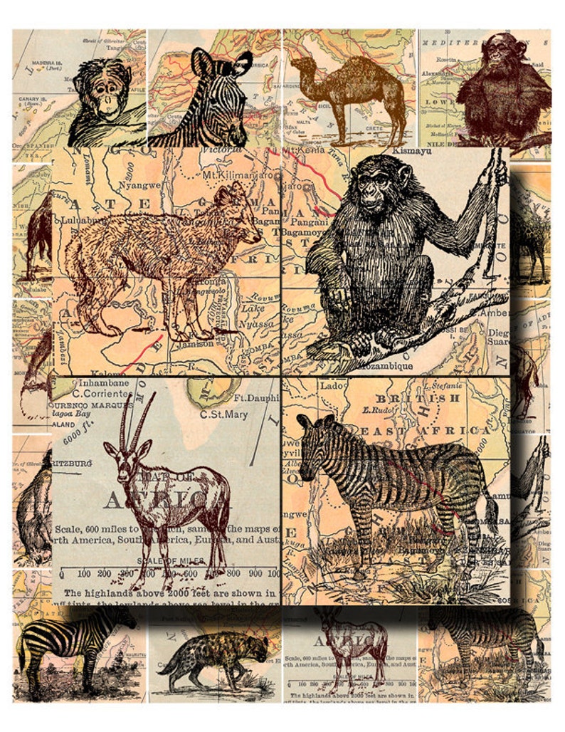 wild animal collage sheet, zebras, orangutans, elephants, etc. with antique map background, 2 x 2 inch digital download no. 136 image 5