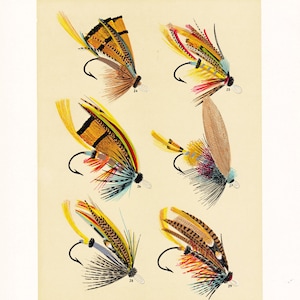 fly fishing print from the 19th century, printable digital download, collage sheet no. 958 image 1