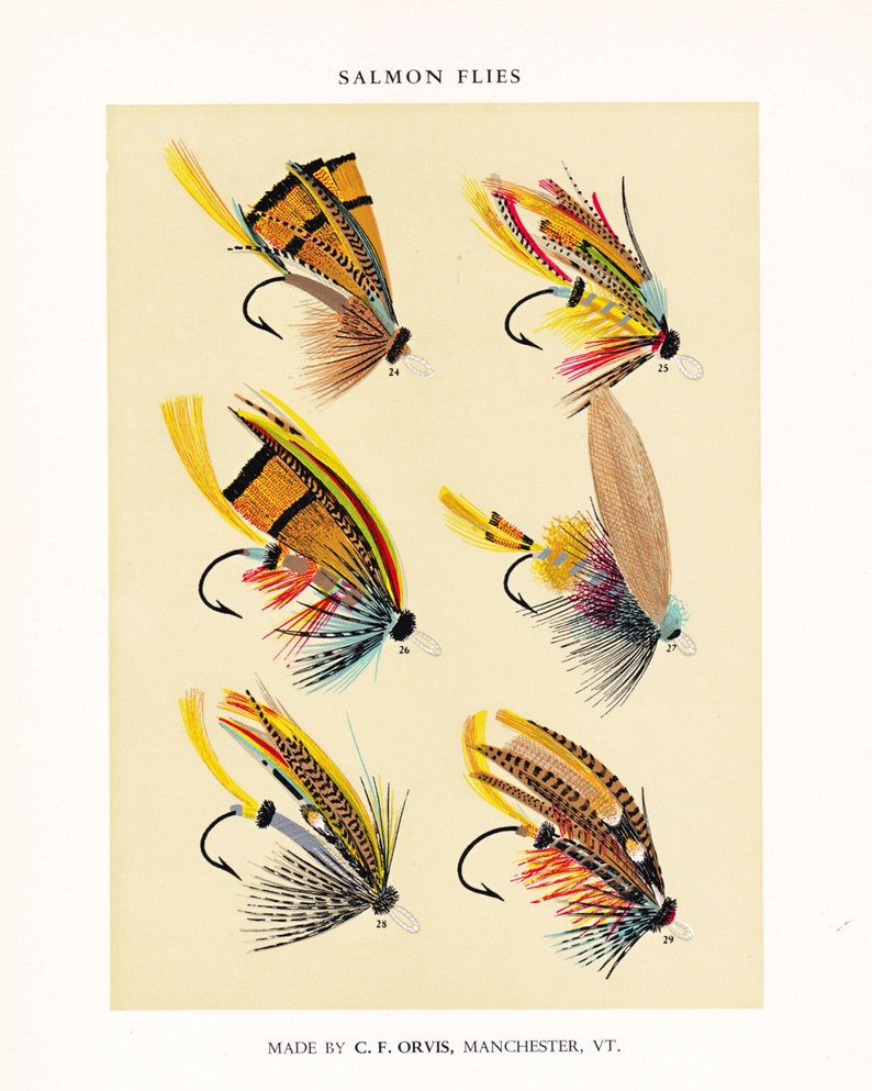 fly fishing print from the 19th century, printable digital download, collage sheet no. 958 image 1