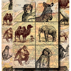 wild animal collage sheet, zebras, orangutans, elephants, etc. with antique map background, 2 x 2 inch digital download no. 136 image 2