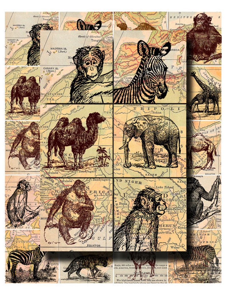 wild animal collage sheet, zebras, orangutans, elephants, etc. with antique map background, 2 x 2 inch digital download no. 136 image 2