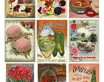 printable seed packets, Victorian flowers, fruits and vegetables, for arts and crafts, collage, digital download no. 1587