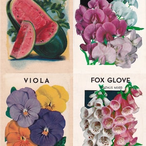 28 verschiedene vintage Samentütchen, 28 verschiedene druckbare digitale Motive