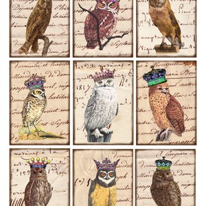 Puede incluir: Nueve ilustraciones vintage de b&uacute;hos con coronas sobre un fondo de papel antiguo con texto escrito a mano. Los b&uacute;hos son de varios colores y poses, incluyendo marr&oacute;n, blanco y gris. El texto incluye palabras como "domicilio", "habitante" y "notarios".