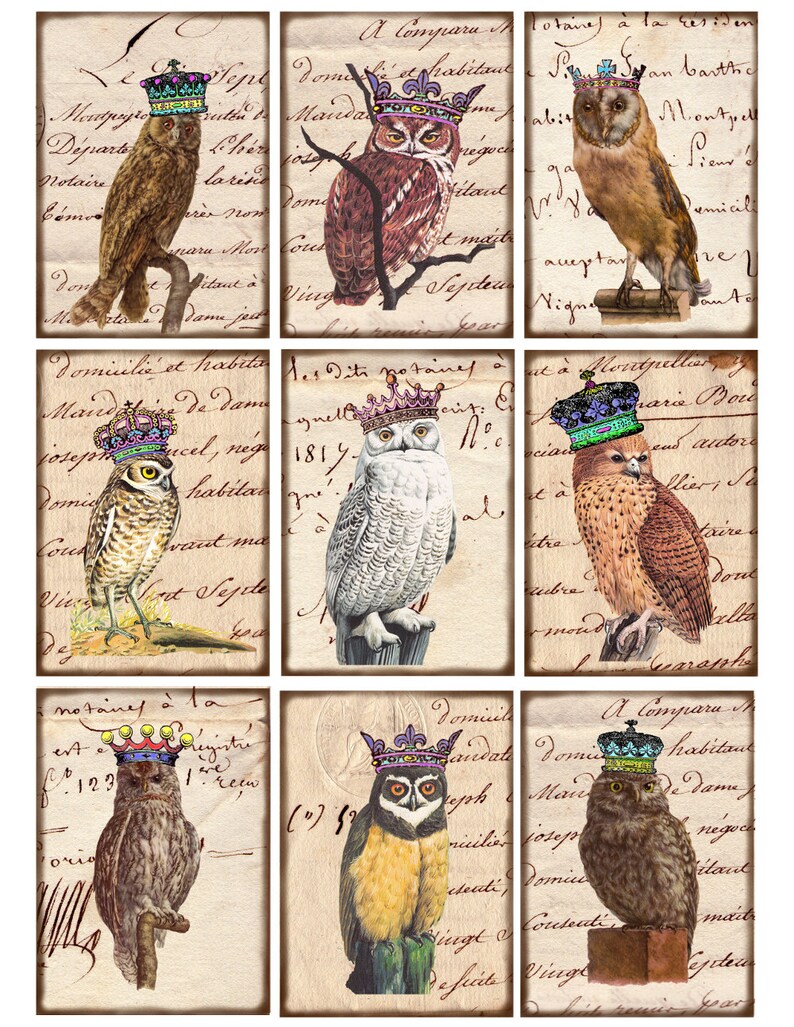 Puede incluir: Nueve ilustraciones vintage de b&uacute;hos con coronas sobre un fondo de papel antiguo con texto escrito a mano. Los b&uacute;hos son de varios colores y poses, incluyendo marr&oacute;n, blanco y gris. El texto incluye palabras como "domicilio", "habitante" y "notarios".