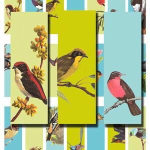 Puede incluir: Un collage de ilustraciones de pájaros coloridos con una variedad de especies, incluyendo un pájaro rojo, un pájaro amarillo y un pájaro azul. Los pájaros están representados sobre un fondo verde y azul.