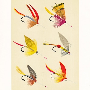fly fishing print from the 19th century, printable digital download, collage sheet no. 949 imagem 1