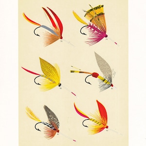 fly fishing print from the 19th century, printable digital download, collage sheet no. 949