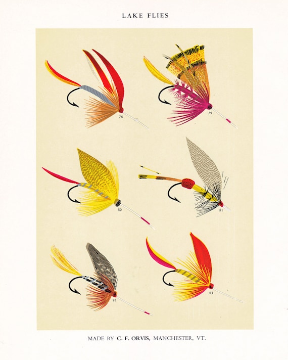 fly fishing print from the 19th century, printable digital download,  collage sheet no. 949