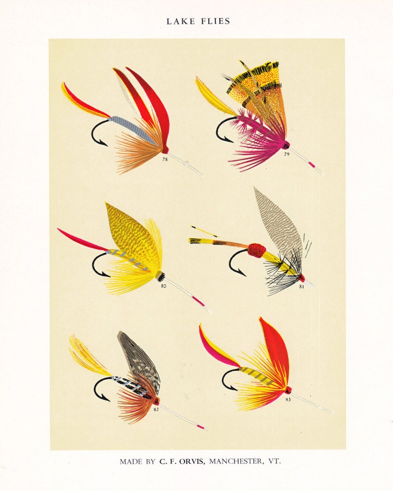 fly fishing print from the 19th century, printable digital download, collage sheet no. 949 imagem 1
