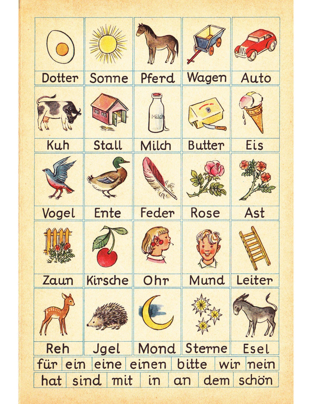 German Words From Mein Erstes Buch Printable Digital - Etsy
