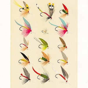 fly fishing print from the 19th century, printable wall art, digital download, collage sheet no. 943