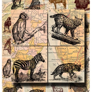 wild animal collage sheet, zebras, orangutans, elephants, etc. with antique map background, 2 x 2 inch digital download no. 136 image 4